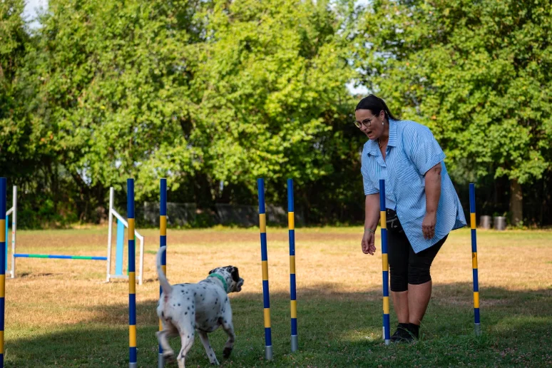 Agility-Foto
